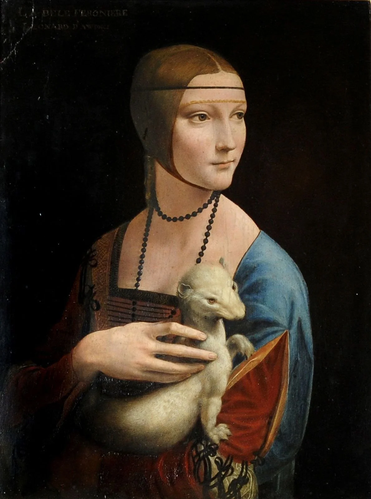 In the Footsteps of Leonardo da Vinci — Leanne Trivett S.